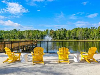 Lake view